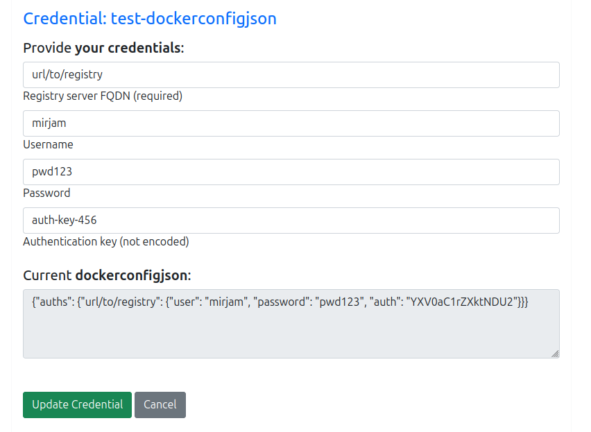 dockerconfigjson-view.png